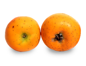 Hawthorn apples / 1lb-produce-MOVE HALAL