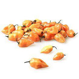 HABANERO chili / 1lb-produce-MOVE HALAL