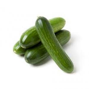 persian cucumber / 1lb-produce-MOVE HALAL