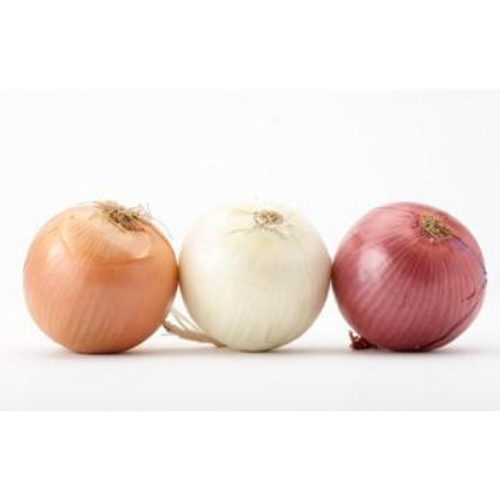 Onions / 1lb-produce-MOVE HALAL