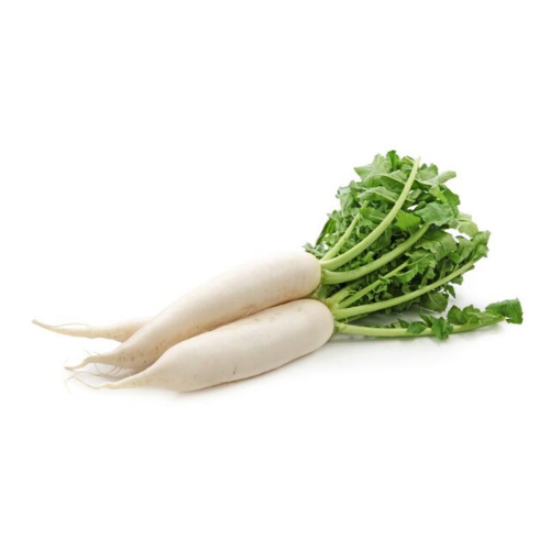 Daikon Radish / 1lb-produce-MOVE HALAL