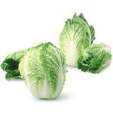 Napa Cabbage / 1lb-produce-MOVE HALAL