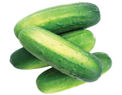 pickle cucumber / 1lb-produce-MOVE HALAL
