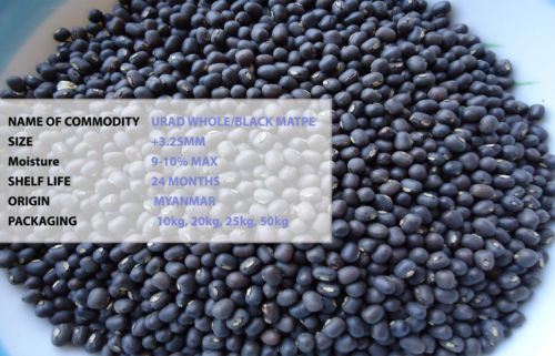 Urid whole Black Lentil Beans-Grocery-MOVE HALAL