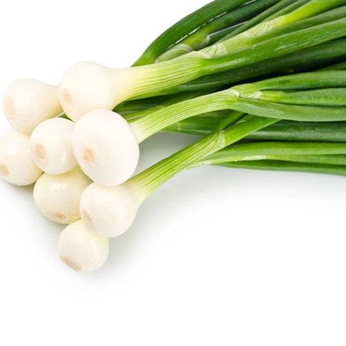 basal bunch onion/ ea-produce-MOVE HALAL